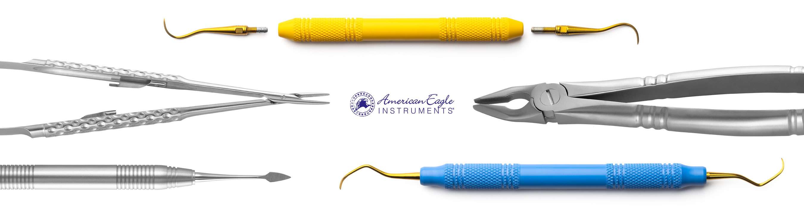 American Eagle Landing Page Header