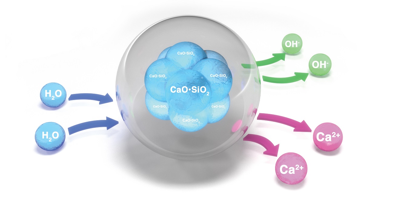 TheraFamily Bisco unique hydrophilic matrix