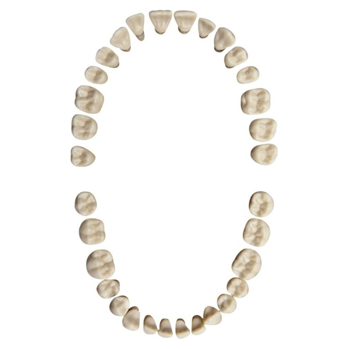 Elments d'exercices Frasaco - en haut et en bas - AG-3 Z, set avec 32 lments