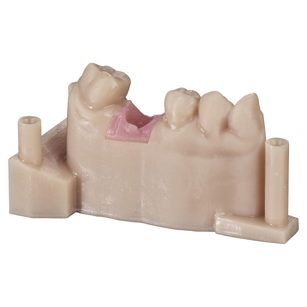 Zirlux Gingiva Mask Print Resin - Fles 500 g