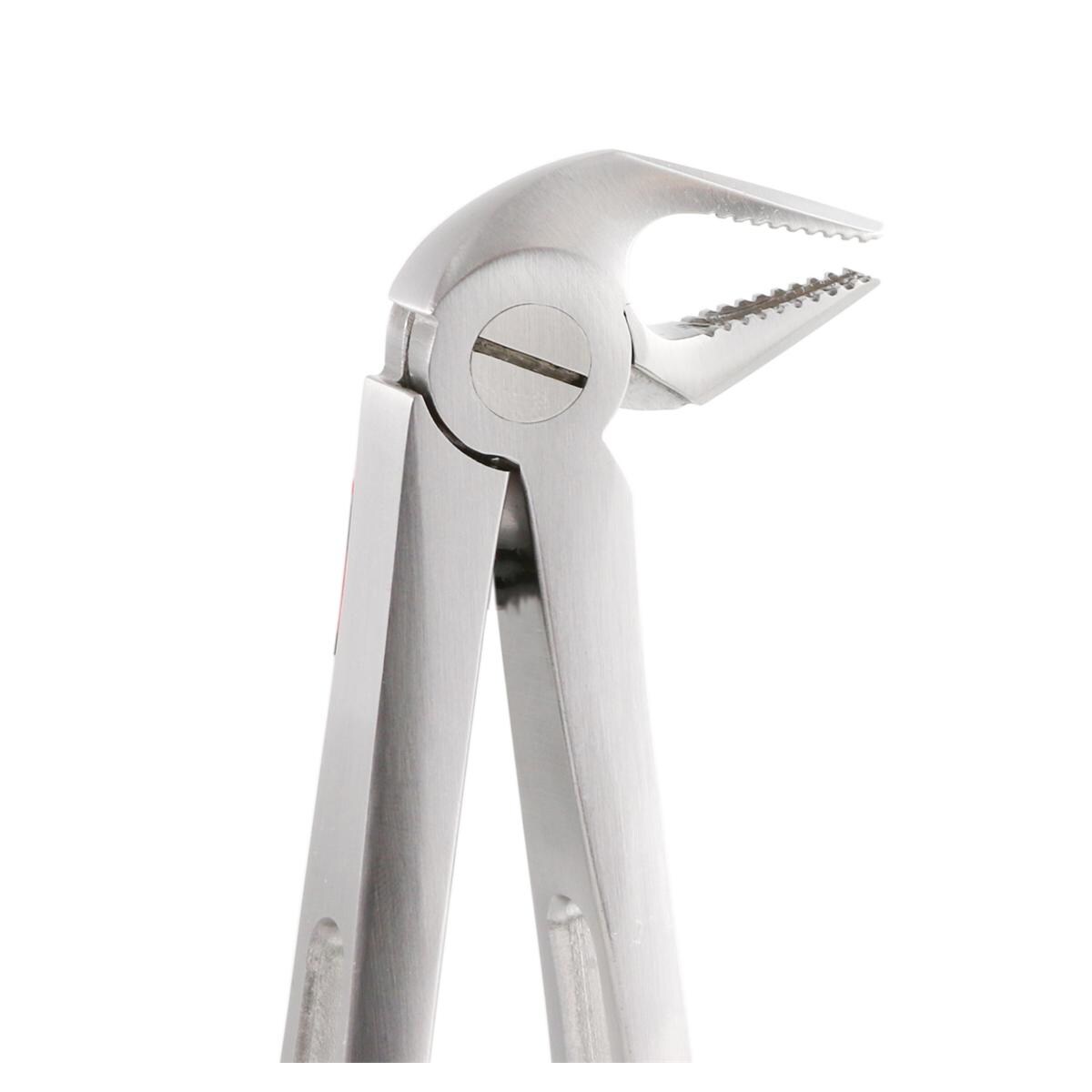 Extractietang GatorEX - GX13, premolaar, cuspidaat en incisief onder