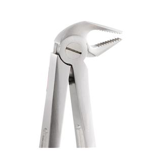 Extractietang GatorEX - GX13, premolaar, cuspidaat en incisief onder