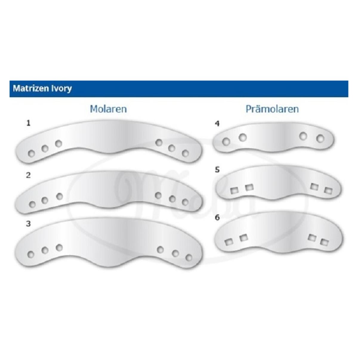 Bandes matrices - Perfor�es, type 1 pr�molaires n� 4
