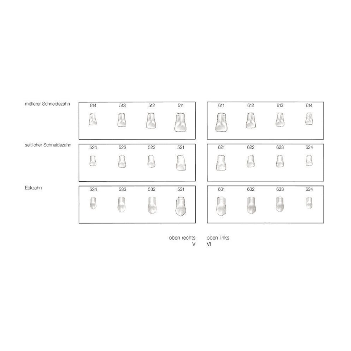 Stripkroon kind - navulling - Centraal incisief, 511, 5 stuks