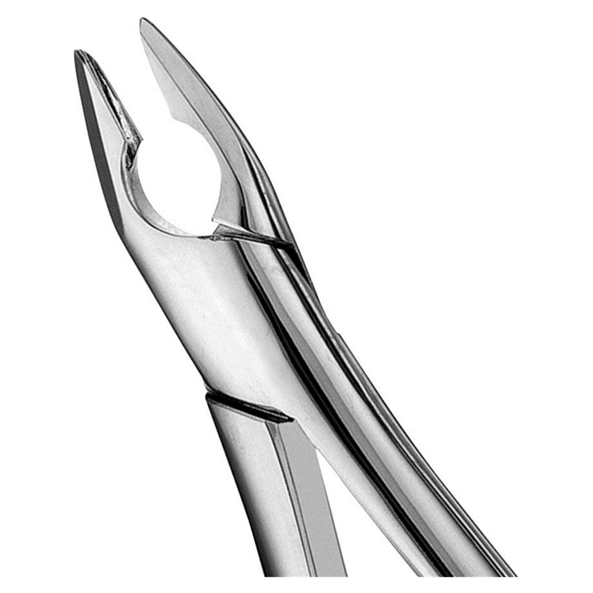 Davier AF1 - FAF1, Standard - incisives sup�rieures