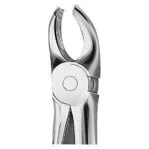 Daviers Anatomica - Figure 17 (DG117R) - molaire en haut droite