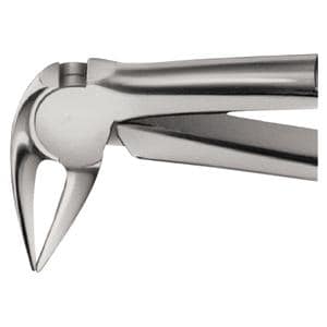 Daviers Anatomica - Figure Fener (DG729R), racine en bas - bec long