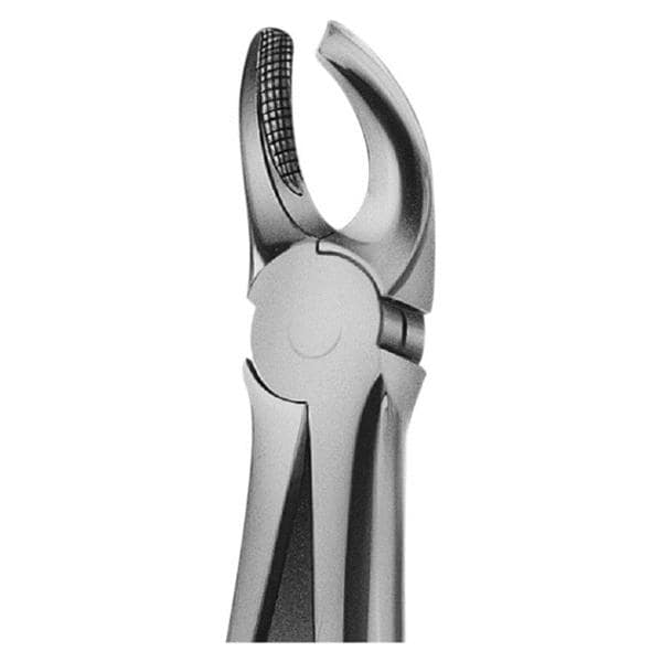 Daviers Anatomica avec profil de collage Bch - Figure 18 (DH718R) - en haut molaire gauche