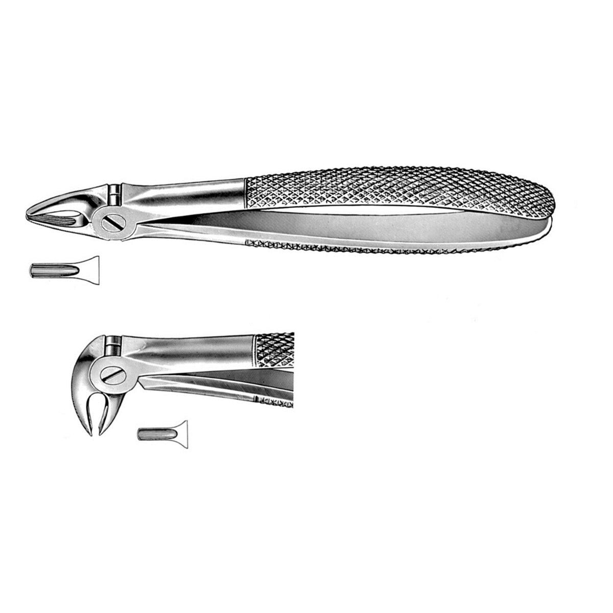 Daviers pour enfants - Figure 37 (DK001R) - incisif en haut