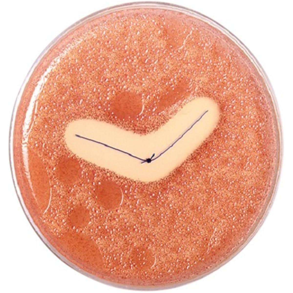 Vicryl Plus - Lengte 45cm, 36 stuks 3/0, naald FS-2S - VCP293H