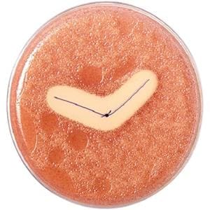 Vicryl Plus - Lengte 45cm, 36 stuks 3/0, naald FS-2S - VCP293H