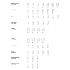 Stripkronen cuspidaat - Boven, 130