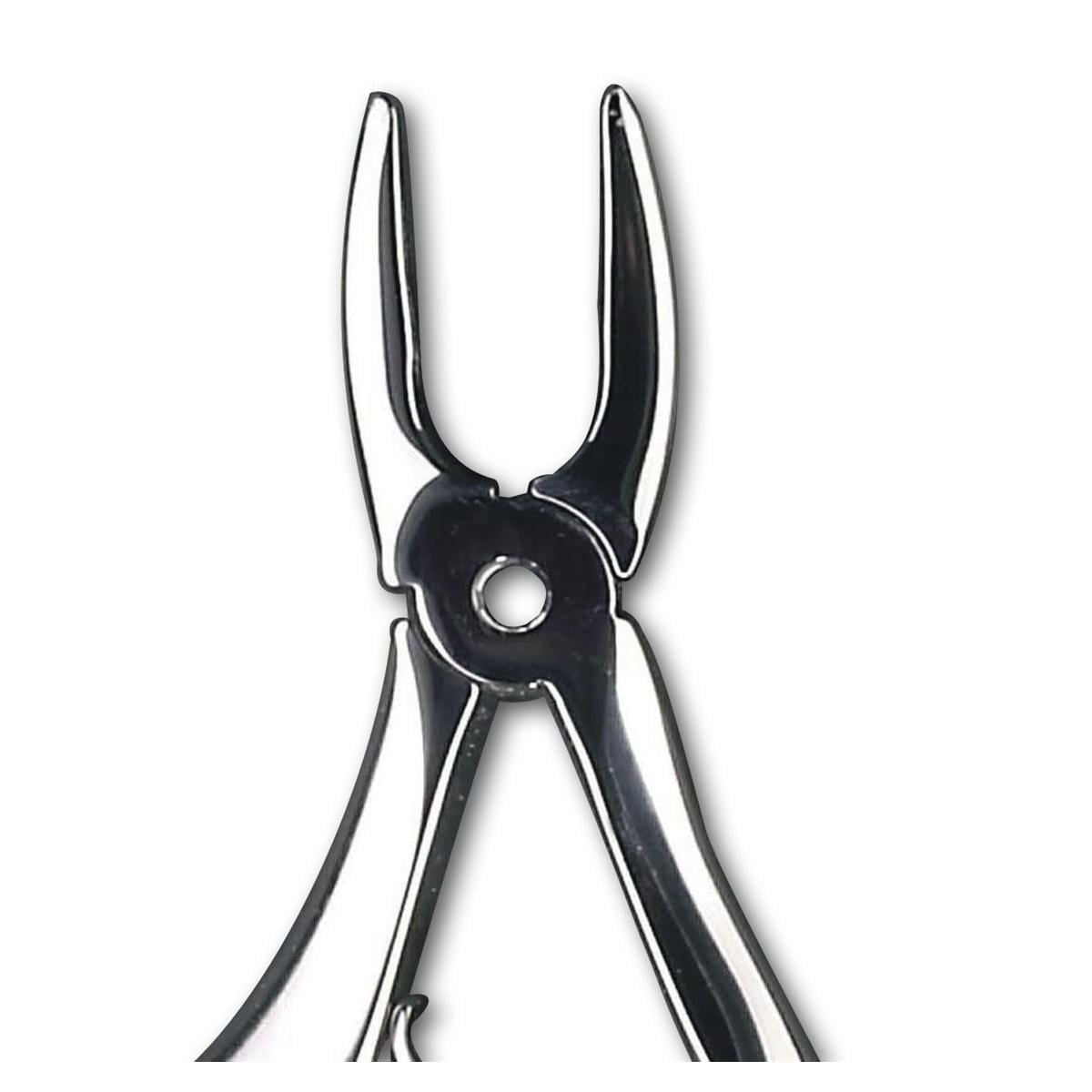 Davier enfant - Figure 1 - incisives sup�rieures