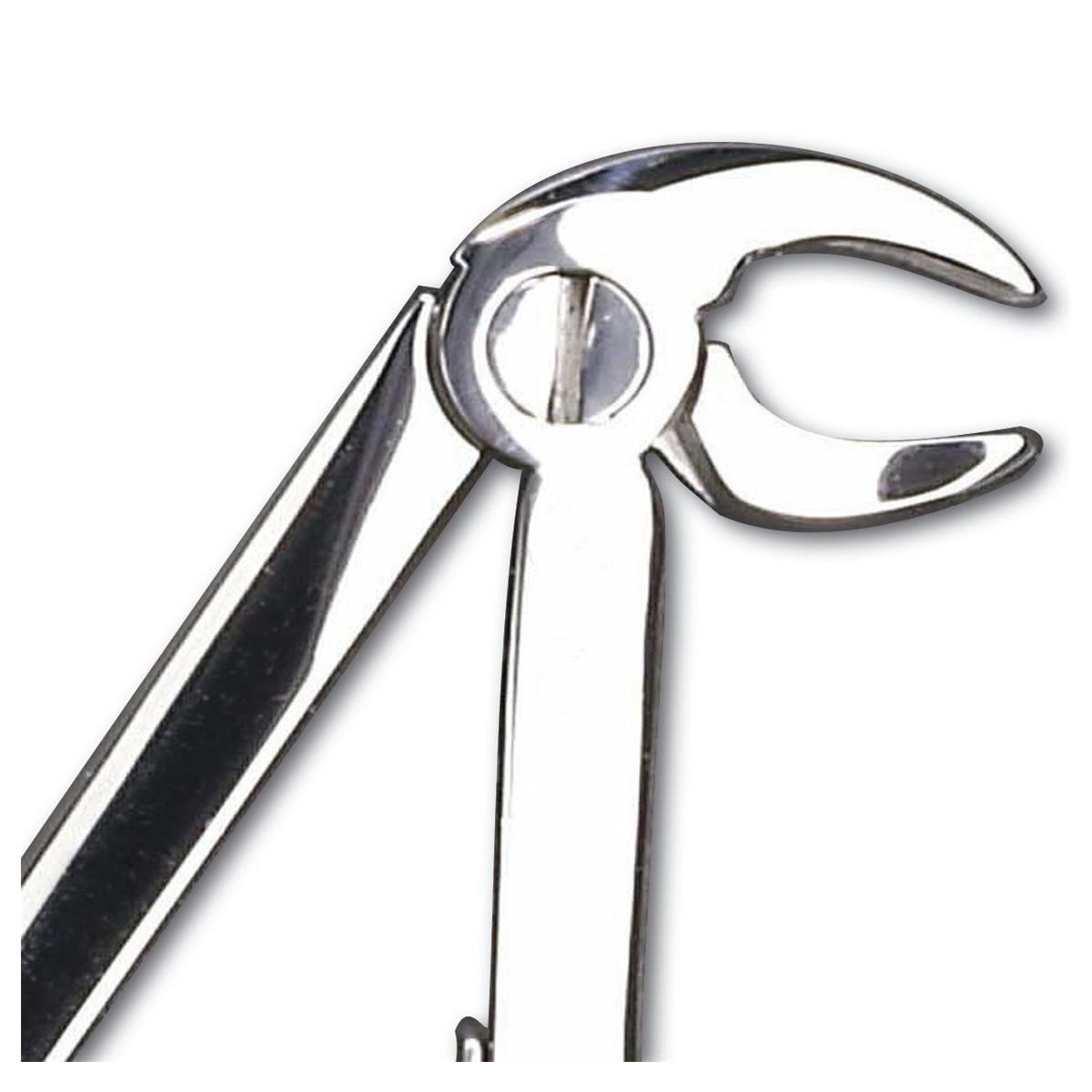 Davier enfant - Figure 5 - incisives inf�rieures