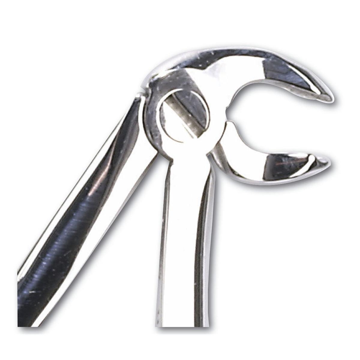 Davier enfant - Figure 6 - molaires inf�rieures